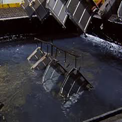 Electrodeposition Paint(EDP) Service